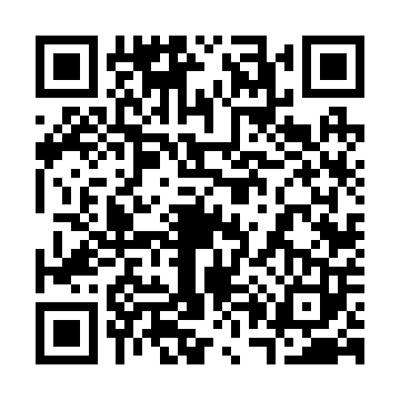 QR code for 3062038