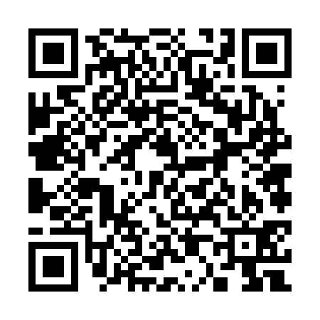 QR code for 306231E