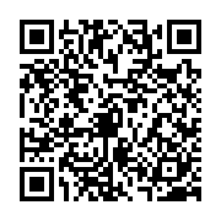 QR code for 3063205