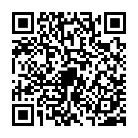 QR code for 3063817