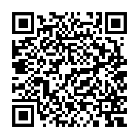QR code for 307667P