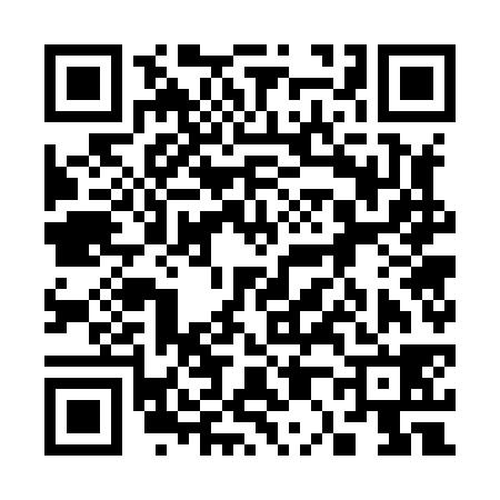 QR code for 307838E