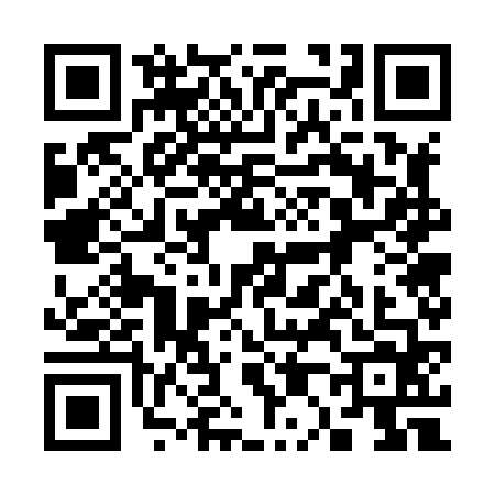 QR code for 3078641