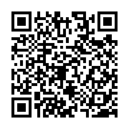 QR code for 311638O