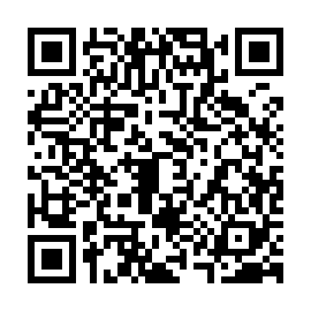 QR code for 311968V