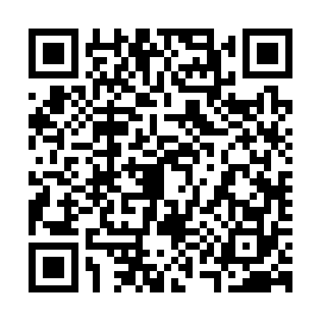 QR code for 3123729