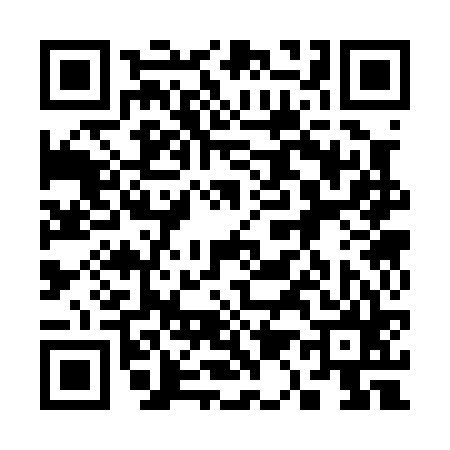 QR code for 313065T