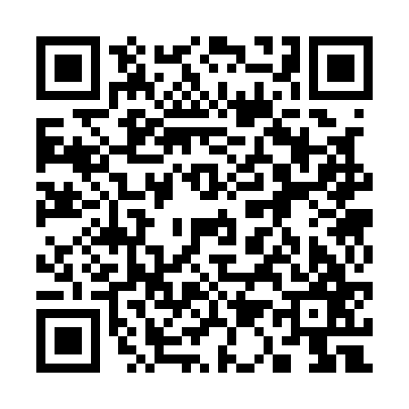 QR code for 313167H