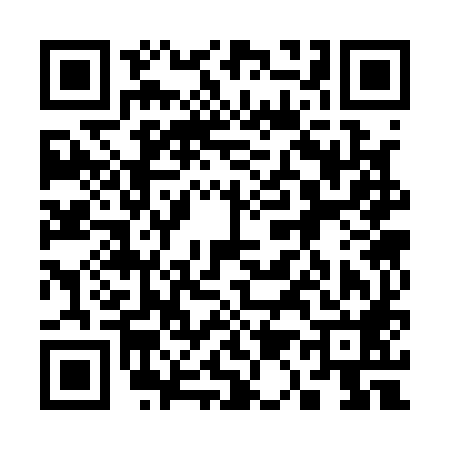 QR code for 313188M