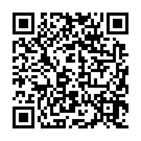 QR code for 313317L