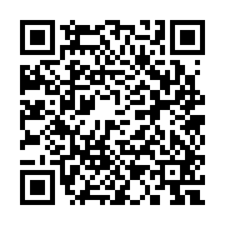 QR code for 313341G