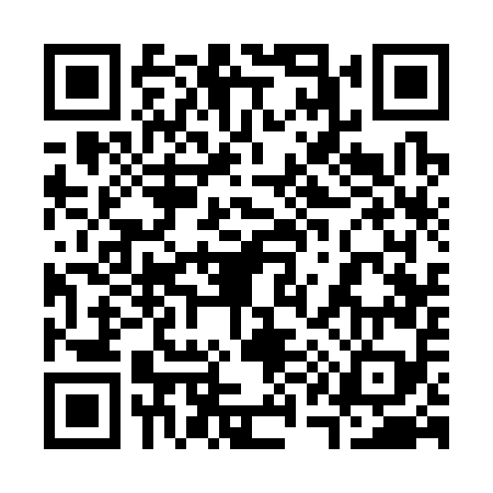 QR code for 313359H