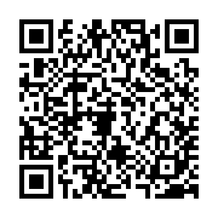 QR code for 313381Z
