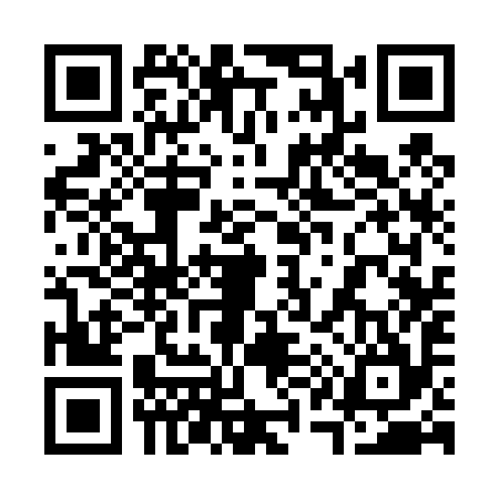 QR code for 313494Z