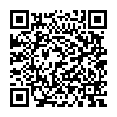 QR code for 313499G