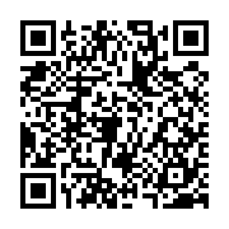 QR code for 313534C