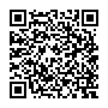 QR code for 313643T