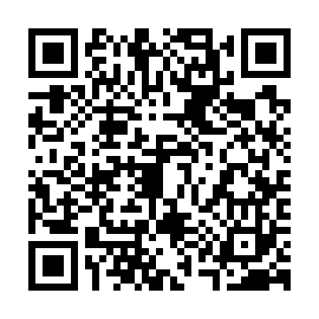 QR code for 313723G