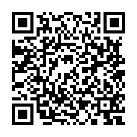 QR code for 313813G