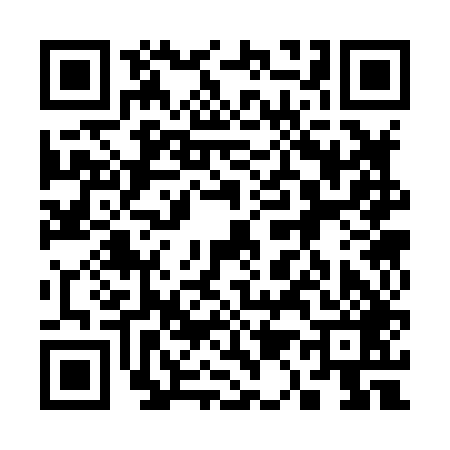 QR code for 313849N