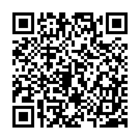 QR code for 313863K