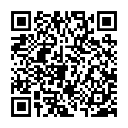 QR code for 314290P