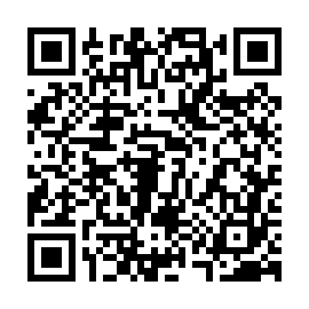 QR code for 317062Y