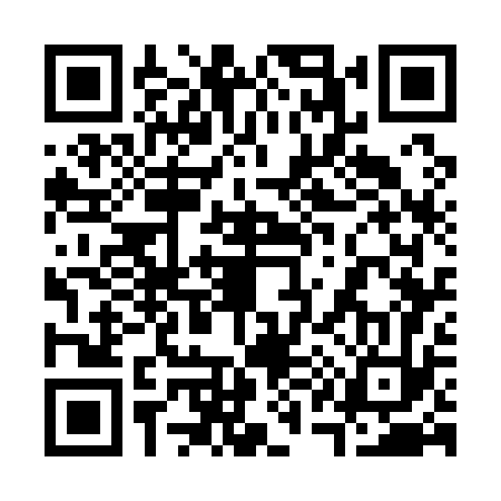 QR code for 317173V