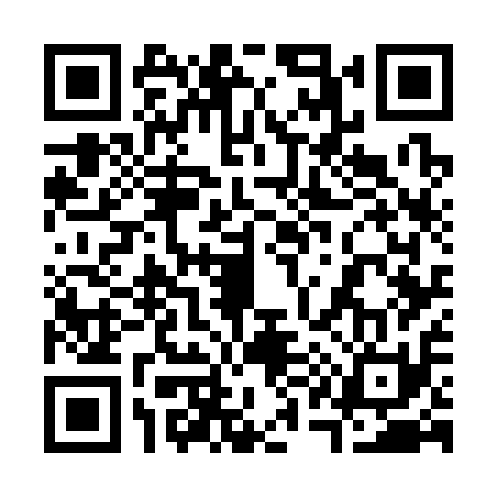 QR code for 317311P