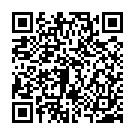 QR code for 317523S