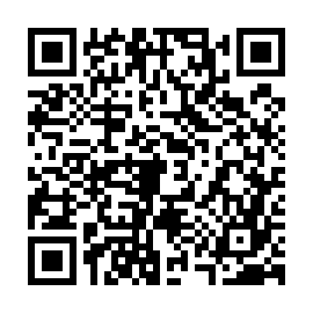 QR code for 317566P