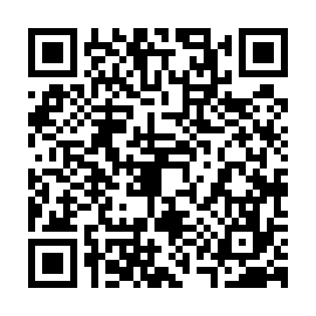 QR code for 318536K