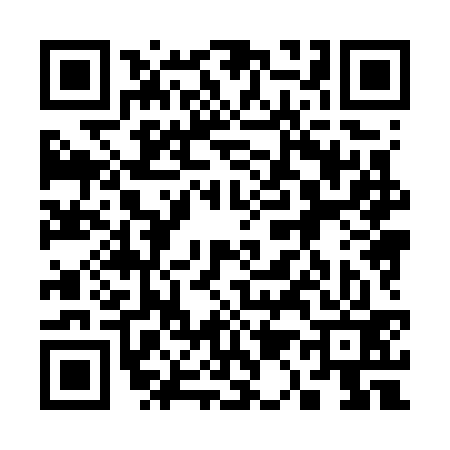 QR code for 318733T