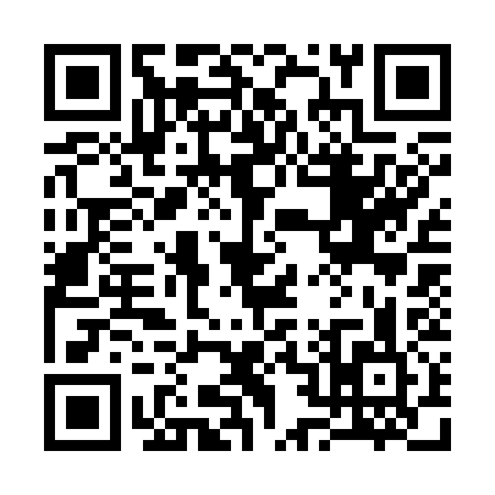 QR code for 323335Y