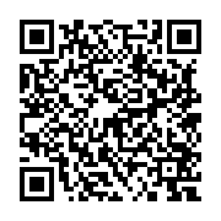 QR code for 3238434