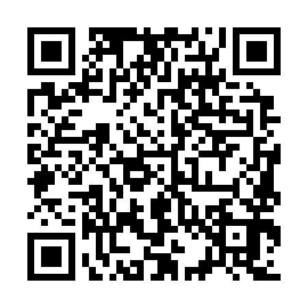 QR code for 325393E