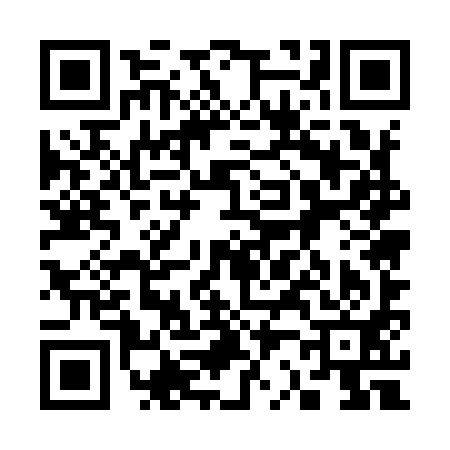 QR code for 325991C