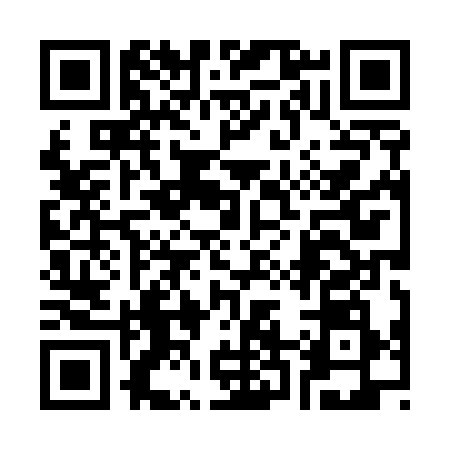 QR code for 328538X