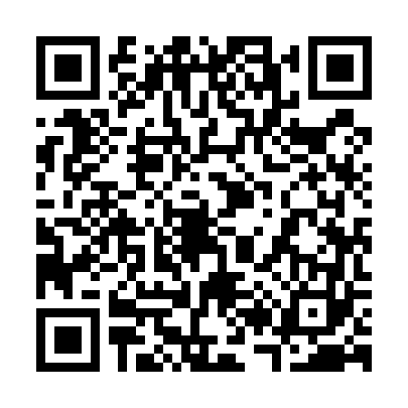 QR code for 3295635