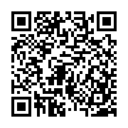 QR code for 3333663