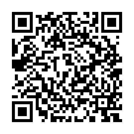 QR code for 333393Z