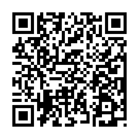 QR code for 333595U