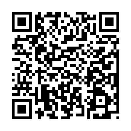 QR code for 333597P