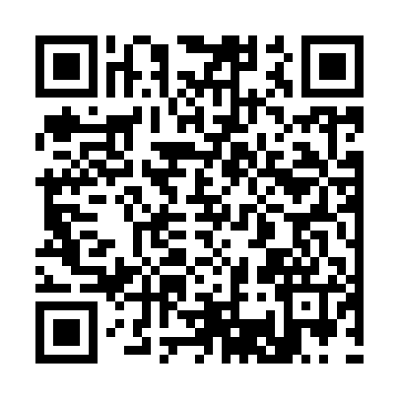 QR code for 333905M