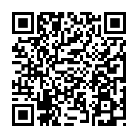 QR code for 334666U