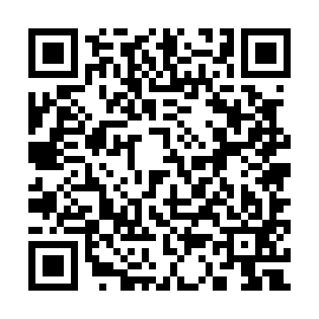QR code for 335093I