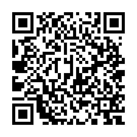 QR code for 335213M