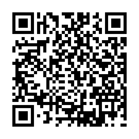 QR code for 335317U