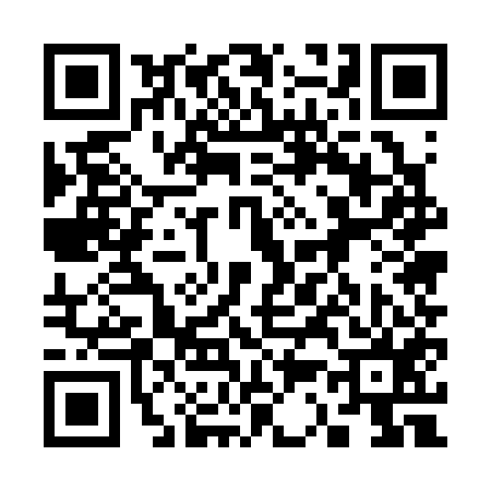 QR code for 335355Z