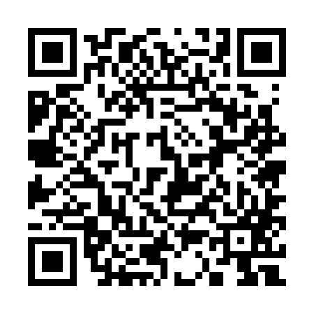 QR code for 335387T